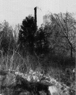 today.gif (137080 bytes)